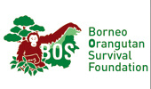 bos