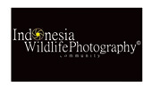 wildlife